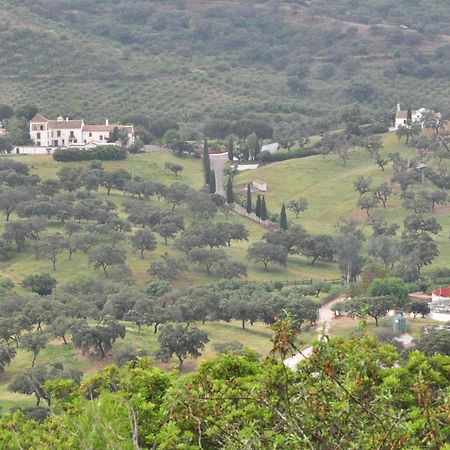 La Rejaquera Villa Villanueva del Rio y Minas Bagian luar foto