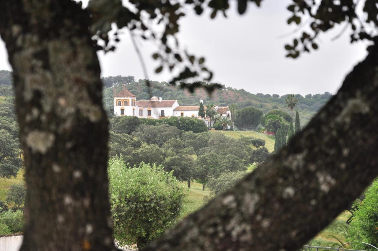 La Rejaquera Villa Villanueva del Rio y Minas Bagian luar foto
