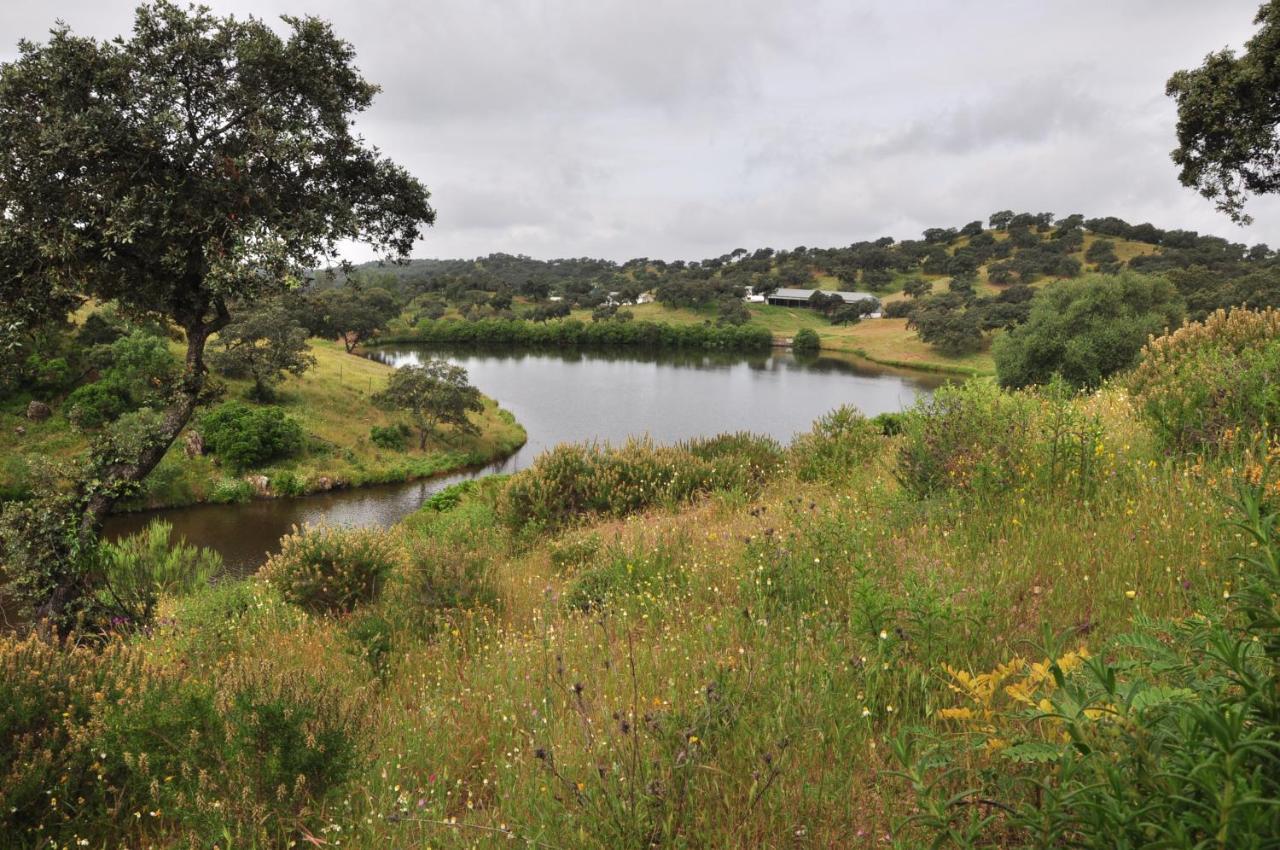 La Rejaquera Villa Villanueva del Rio y Minas Bagian luar foto
