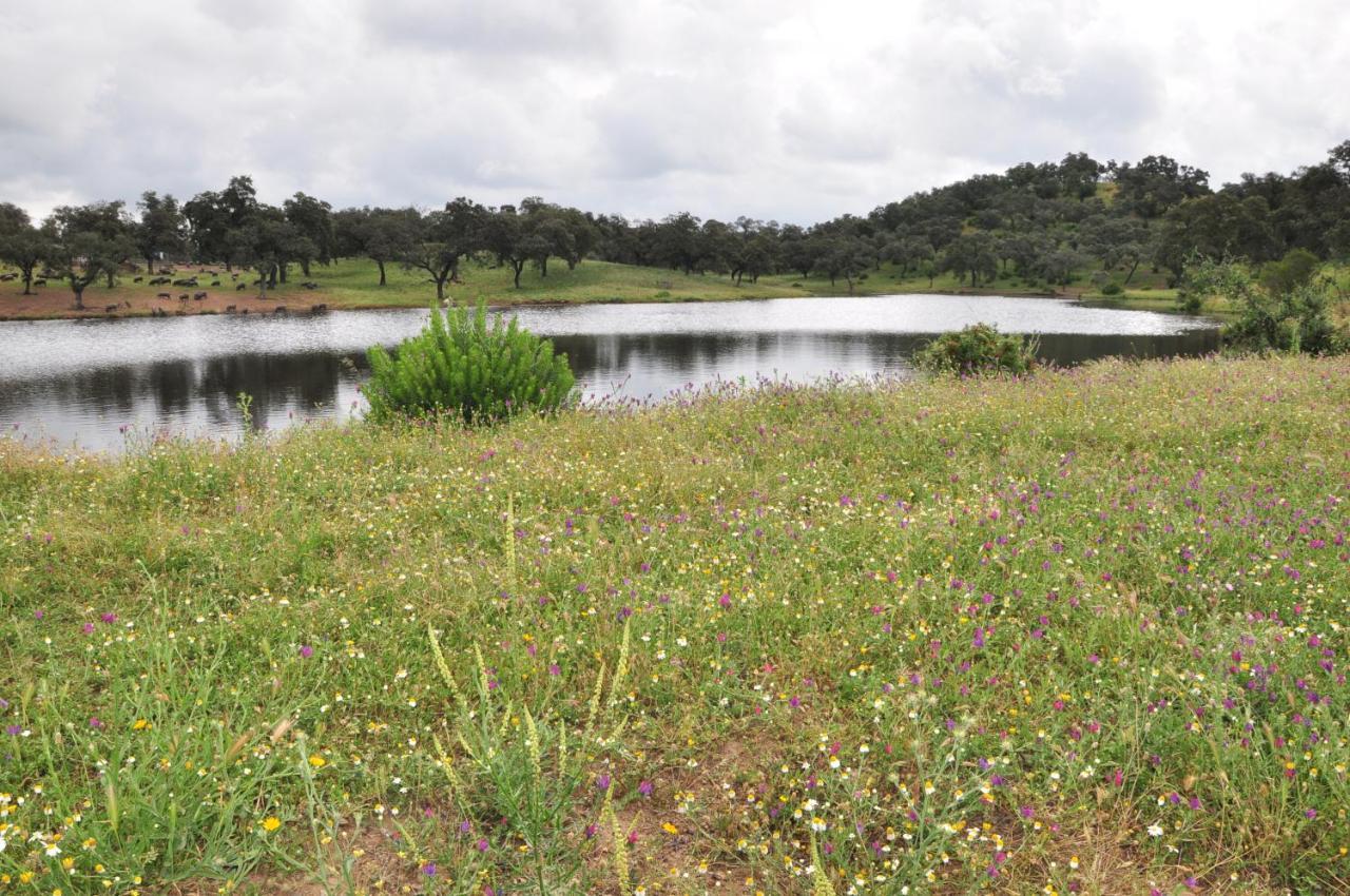 La Rejaquera Villa Villanueva del Rio y Minas Bagian luar foto
