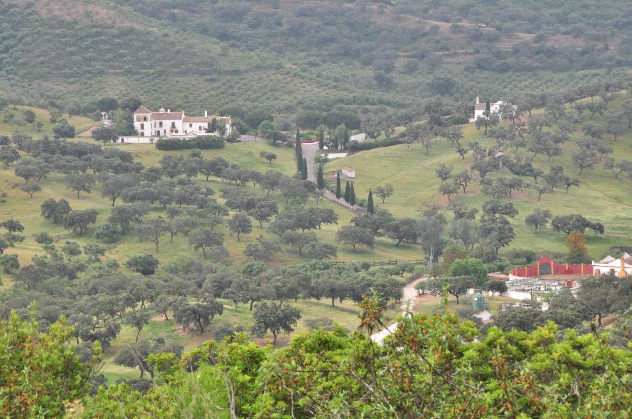 La Rejaquera Villa Villanueva del Rio y Minas Bagian luar foto